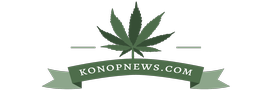 konopnews.com logo